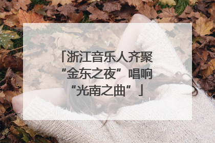 浙江音乐人齐聚“金东之夜”唱响“光南之曲”