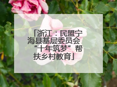 浙江：民盟宁海县基层委员会“十年筑梦”帮扶乡村教育