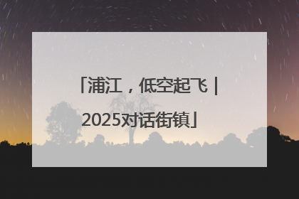 浦江，低空起飞｜2025对话街镇