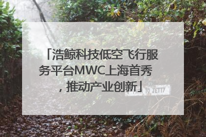 浩鲸科技低空飞行服务平台MWC上海首秀，推动产业创新