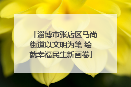 淄博市张店区马尚街道以文明为笔 绘就幸福民生新画卷