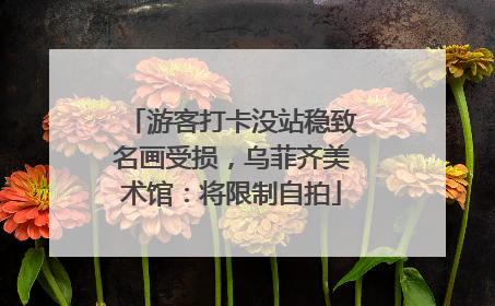 游客打卡没站稳致名画受损，乌菲齐美术馆：将限制自拍