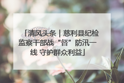 清风头条｜慈利县纪检监察干部战“督”防汛一线 守护群众利益
