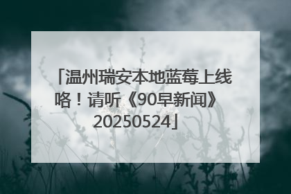 温州瑞安本地蓝莓上线咯！请听《90早新闻》20250524