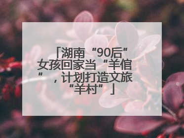 湖南“90后”女孩回家当“羊倌”，计划打造文旅“羊村”