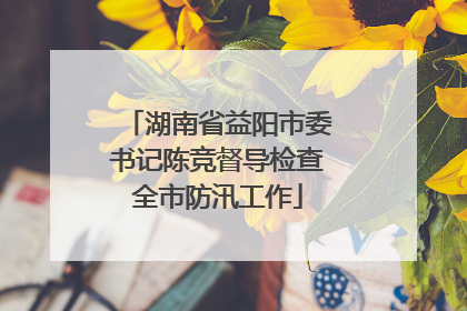 湖南省益阳市委书记陈竞督导检查全市防汛工作