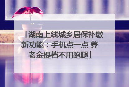 湖南上线城乡居保补缴新功能：手机点一点 养老金提档不用跑腿