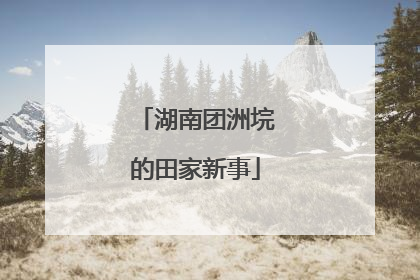 湖南团洲垸的田家新事
