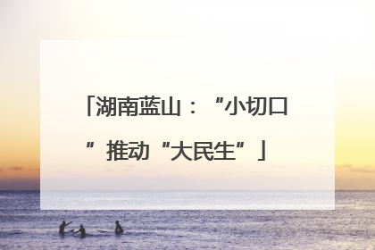 湖南蓝山：“小切口”推动“大民生”