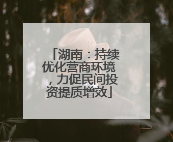 湖南：持续优化营商环境，力促民间投资提质增效