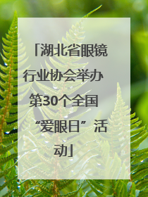 湖北省眼镜行业协会举办第30个全国“爱眼日”活动