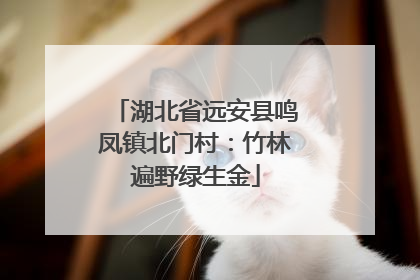 湖北省远安县鸣凤镇北门村：竹林遍野绿生金