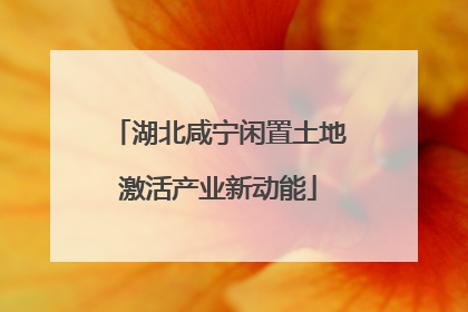 湖北咸宁闲置土地激活产业新动能