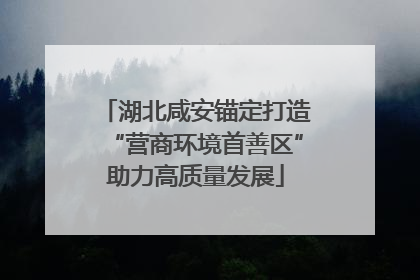 湖北咸安锚定打造“营商环境首善区”助力高质量发展