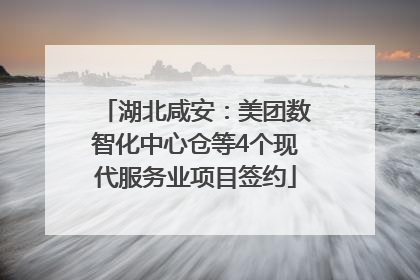 湖北咸安：美团数智化中心仓等4个现代服务业项目签约