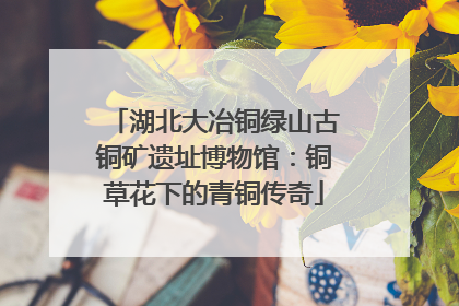 湖北大冶铜绿山古铜矿遗址博物馆：铜草花下的青铜传奇