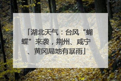 湖北天气：台风“蝴蝶”来袭，荆州、咸宁、黄冈局地有暴雨