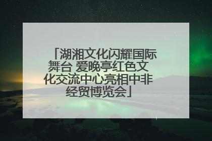 湖湘文化闪耀国际舞台 爱晚亭红色文化交流中心亮相中非经贸博览会