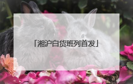 湘沪白货班列首发