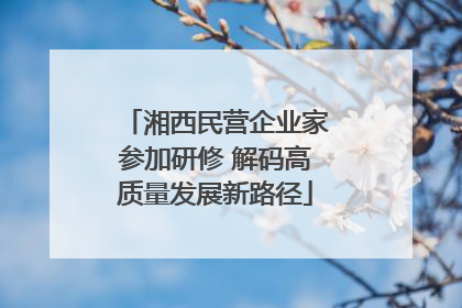 湘西民营企业家参加研修 解码高质量发展新路径