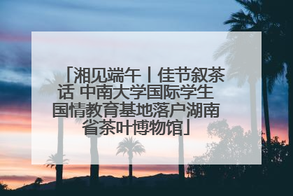 湘见端午丨佳节叙茶话 中南大学国际学生国情教育基地落户湖南省茶叶博物馆