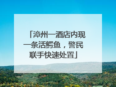 漳州一酒店内现一条活鳄鱼，警民联手快速处置