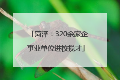 菏泽：320余家企事业单位进校揽才
