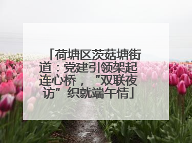 荷塘区茨菇塘街道：党建引领架起连心桥，“双联夜访”织就端午情