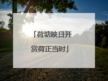 荷塘映日开 赏荷正当时