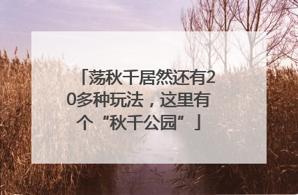 荡秋千居然还有20多种玩法，这里有个“秋千公园”