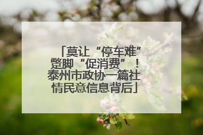 莫让“停车难”蹩脚“促消费”！泰州市政协一篇社情民意信息背后