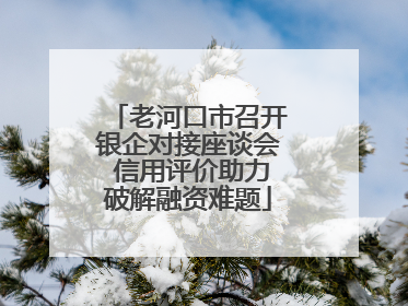 老河口市召开银企对接座谈会 信用评价助力破解融资难题