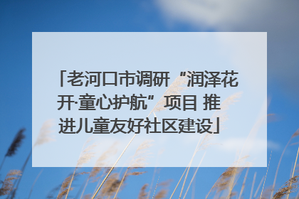 老河口市调研“润泽花开·童心护航”项目 推进儿童友好社区建设