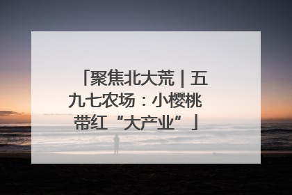 聚焦北大荒｜五九七农场：小樱桃带红“大产业”