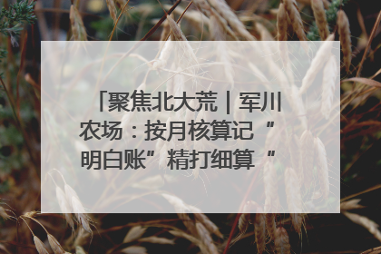 聚焦北大荒｜军川农场：按月核算记“明白账”精打细算“过紧日子”