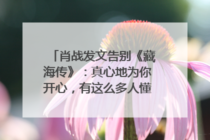 肖战发文告别《藏海传》：真心地为你开心，有这么多人懂你，导演回应“是否有第二季”