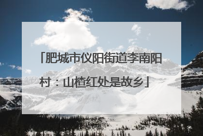 肥城市仪阳街道李南阳村：山楂红处是故乡