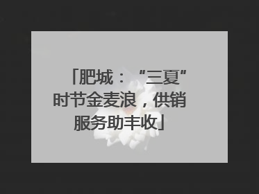 肥城：“三夏”时节金麦浪，供销服务助丰收