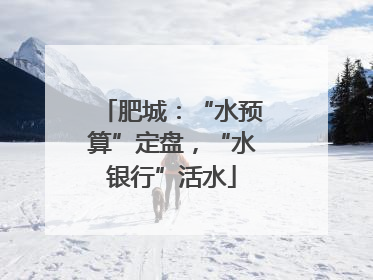 肥城：“水预算”定盘，“水银行”活水