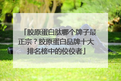 胶原蛋白肽哪个牌子最正宗？胶原蛋白品牌十大排名榜中的佼佼者