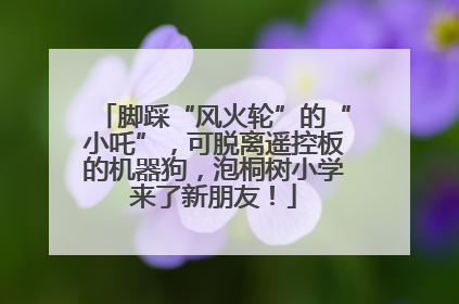 脚踩“风火轮”的“小吒”，可脱离遥控板的机器狗，泡桐树小学来了新朋友！