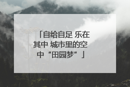 自给自足 乐在其中 城市里的空中“田园梦”