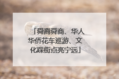 舜裔舜商、华人华侨花车巡游、文化踩街点亮宁远