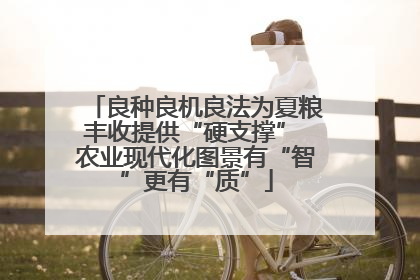 良种良机良法为夏粮丰收提供“硬支撑” 农业现代化图景有“智”更有“质”