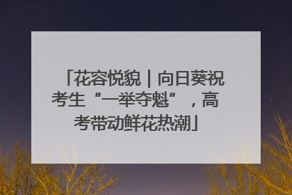 花容悦貌｜向日葵祝考生“一举夺魁”，高考带动鲜花热潮