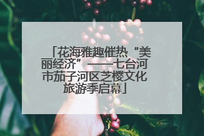 花海雅趣催热“美丽经济”——七台河市茄子河区芝樱文化旅游季启幕