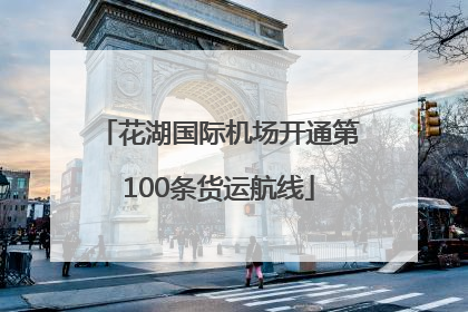 花湖国际机场开通第100条货运航线