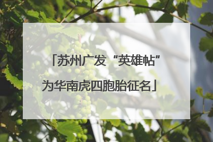 苏州广发“英雄帖”为华南虎四胞胎征名