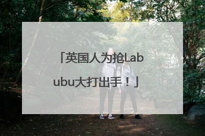 英国人为抢Labubu大打出手！