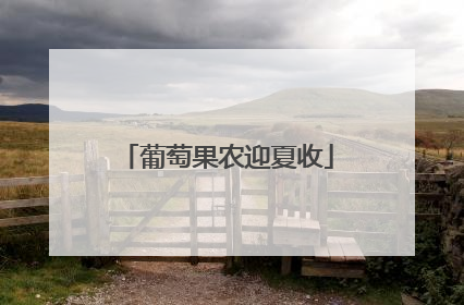 葡萄果农迎夏收